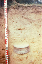Abb. 3: Spätkaiserzeitliche Urne während der Freilegung (Foto: H. Stahlhofen).